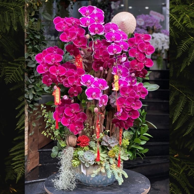 Hoa Tết truyền thống Việt Nam